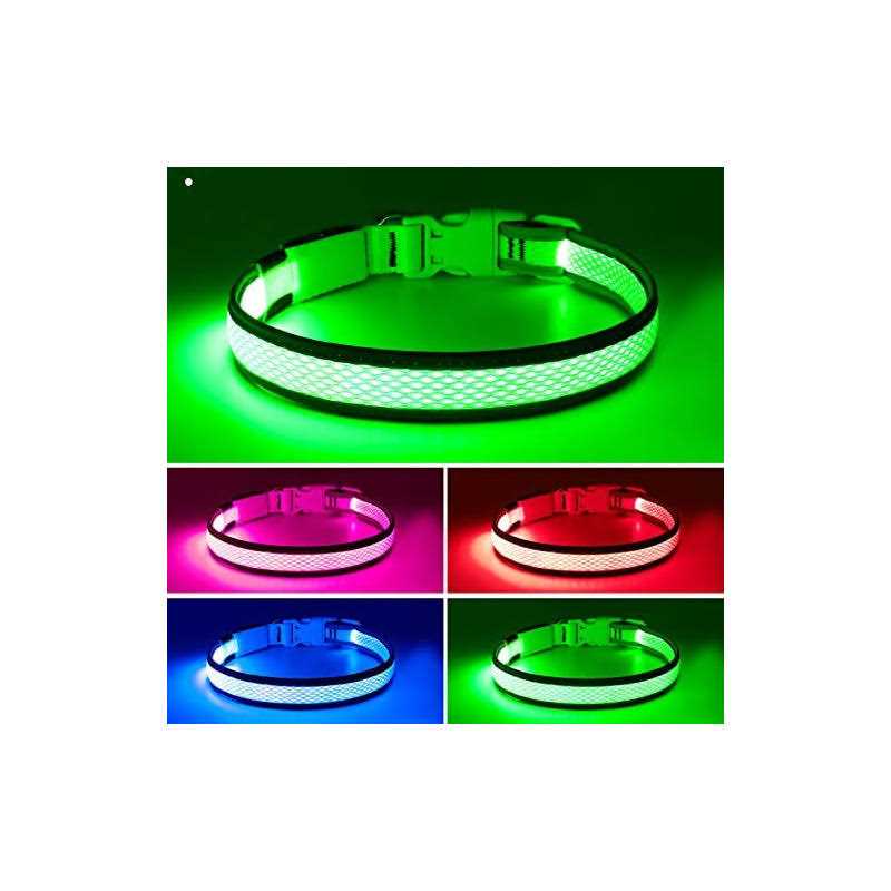 LED USB Rechargeable Dog Collar T3662