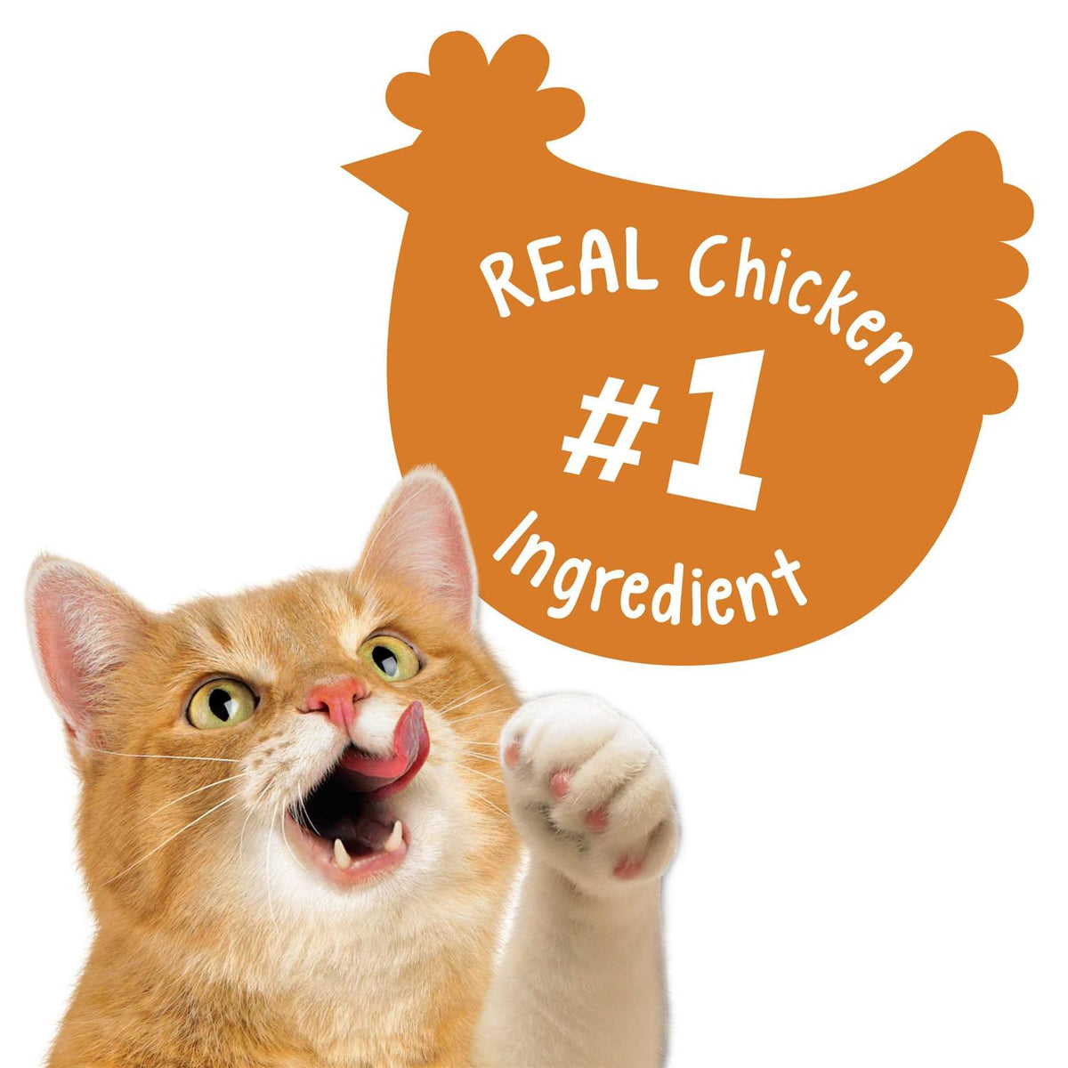 Cat Treats Chicken N380