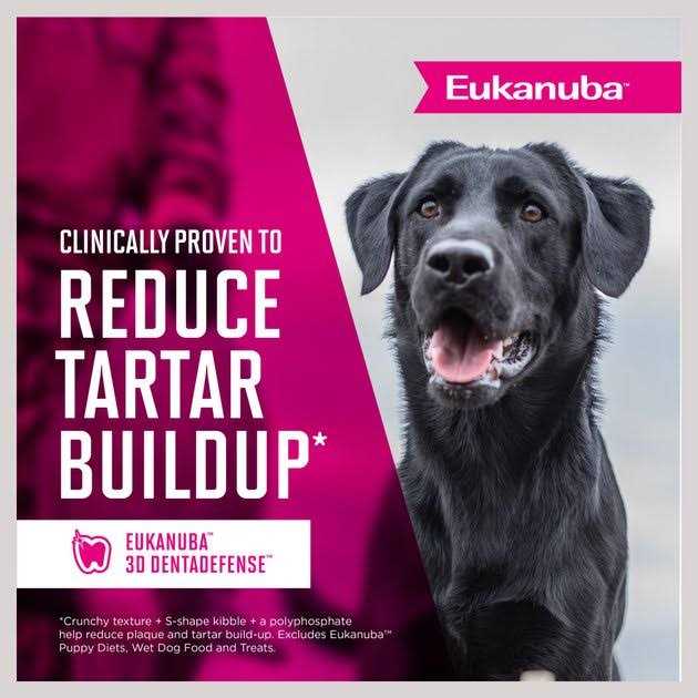 Senior Dry Dog Food K526103