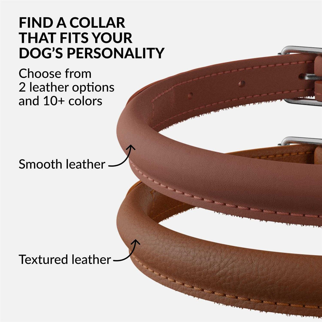 Rolled Leather Dog Collar N34153