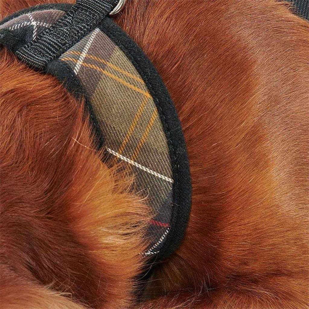 Tartan Dog Harness E5215