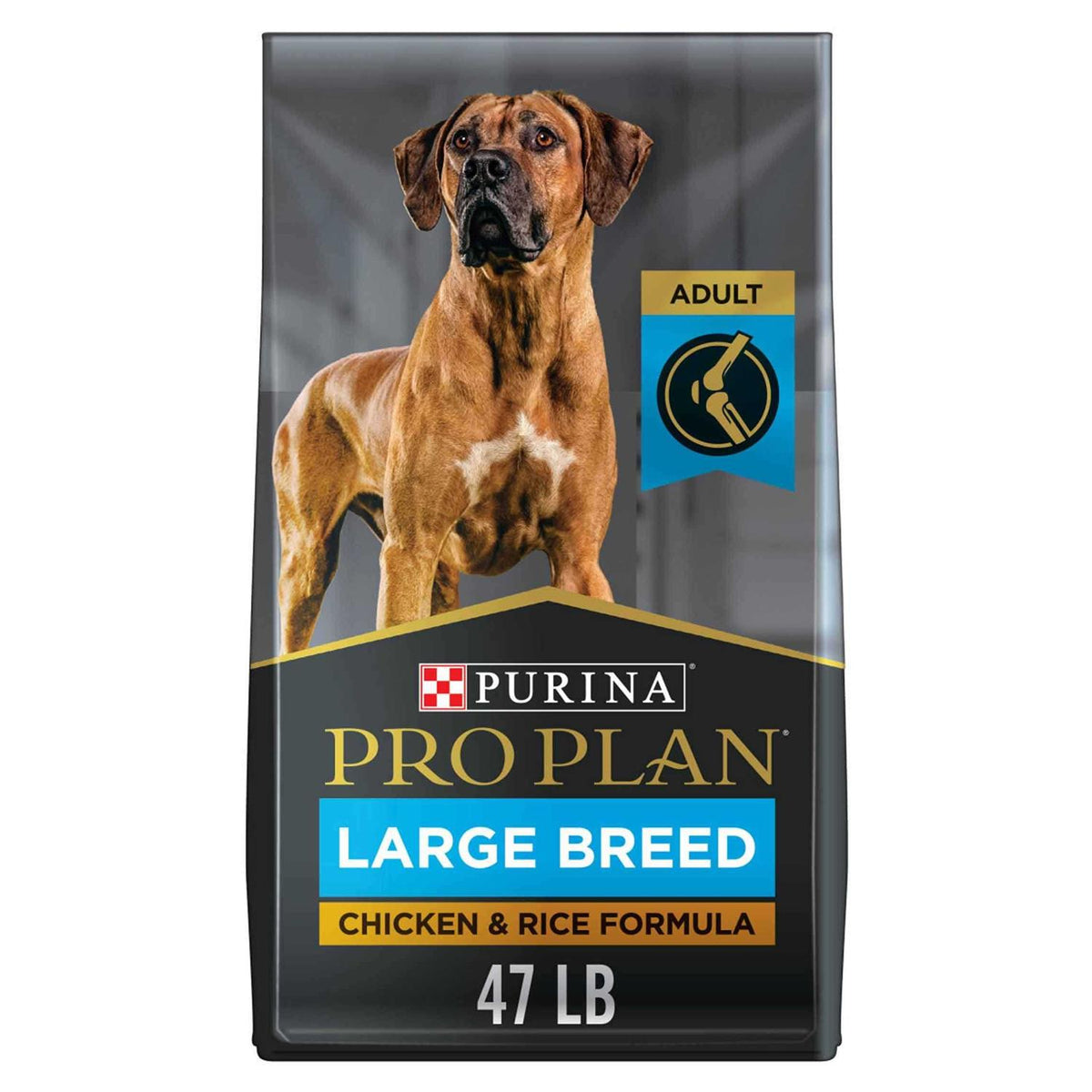 Dry Dog Food N193340