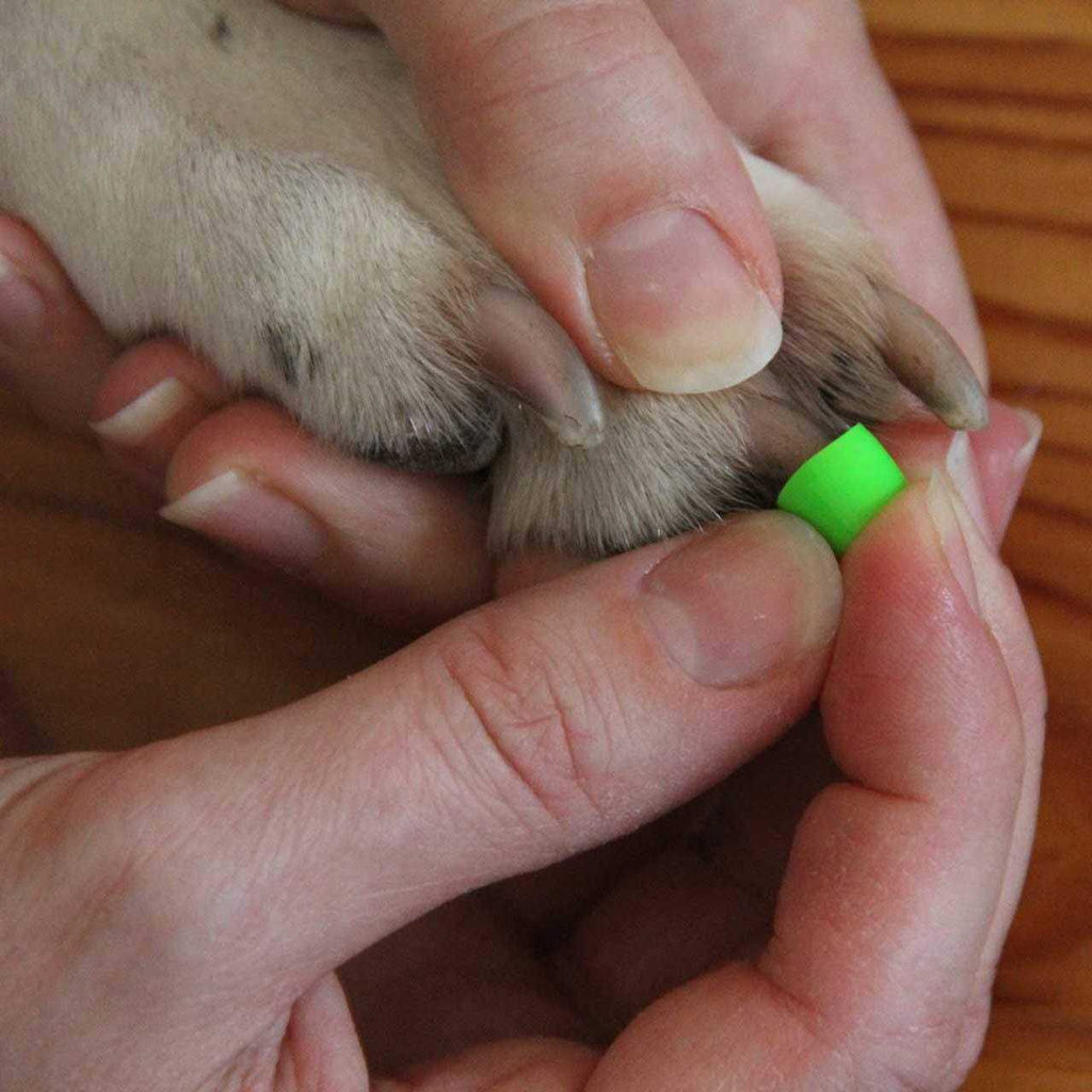 Large Dog Toe Grips for Traction L568