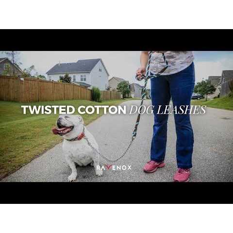 Dog Leash with Chain P175341