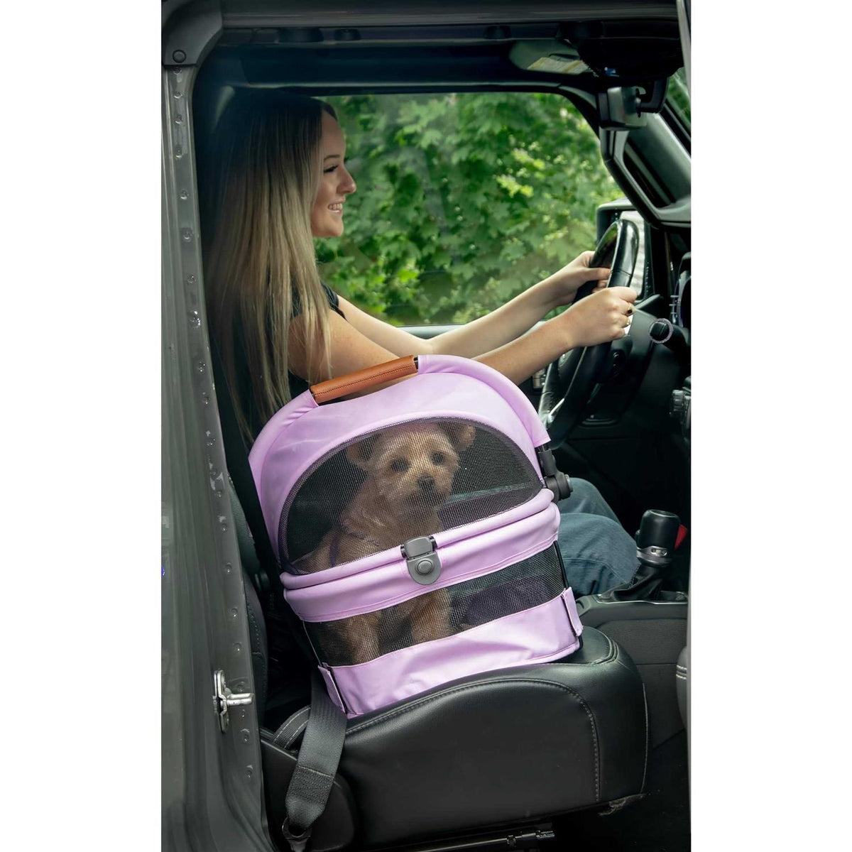 Pet Carrier L832