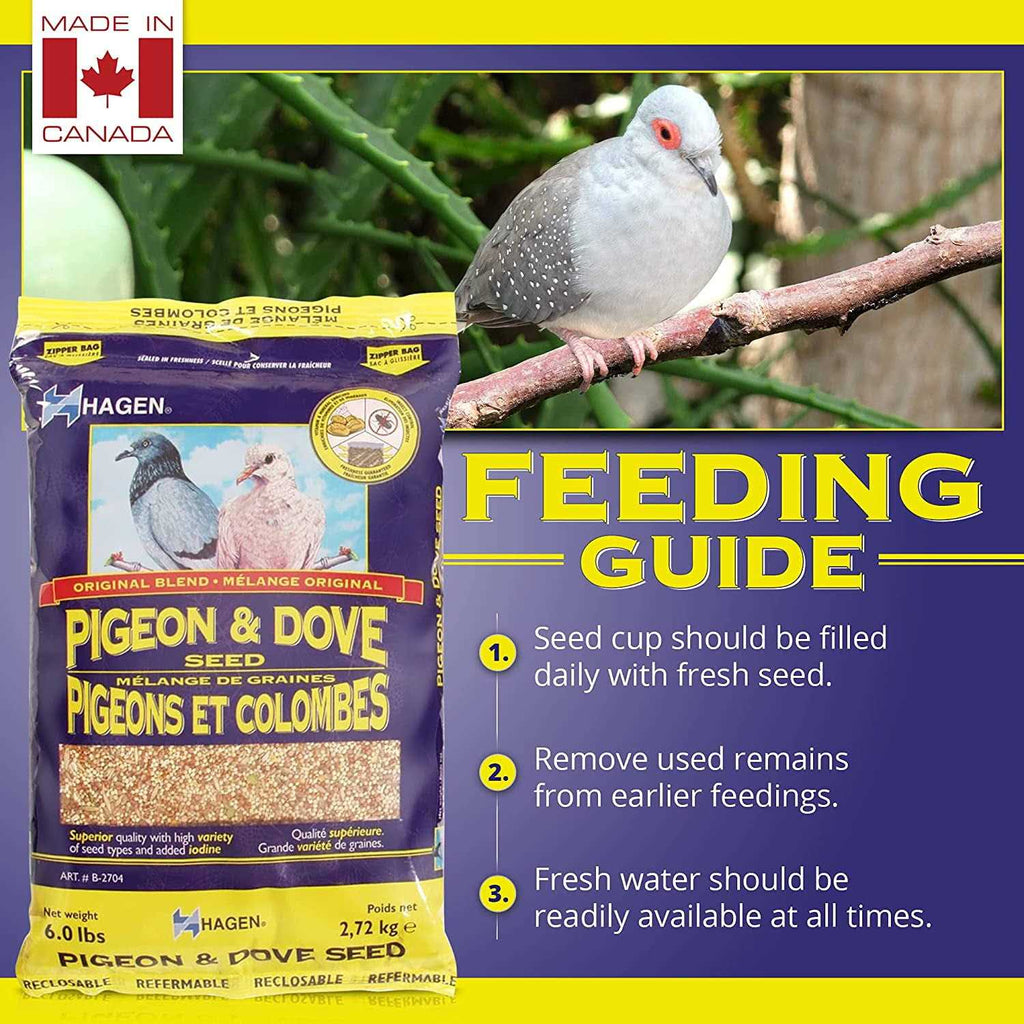 Pigeon & Dove Seed K2792