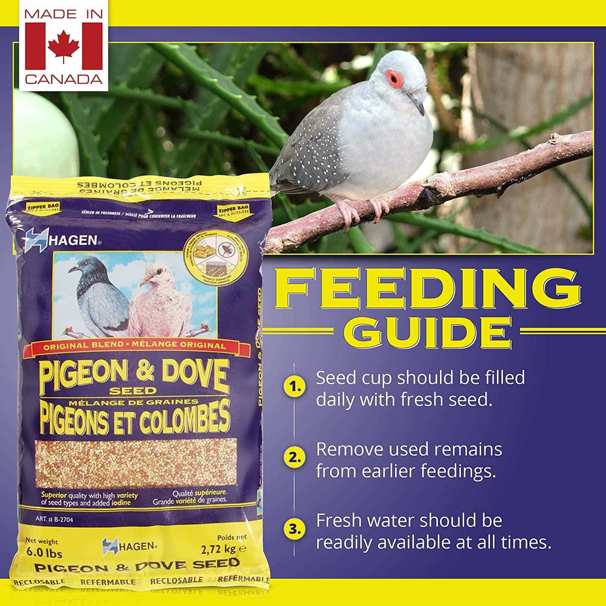 Pigeon & Dove Seed K2792