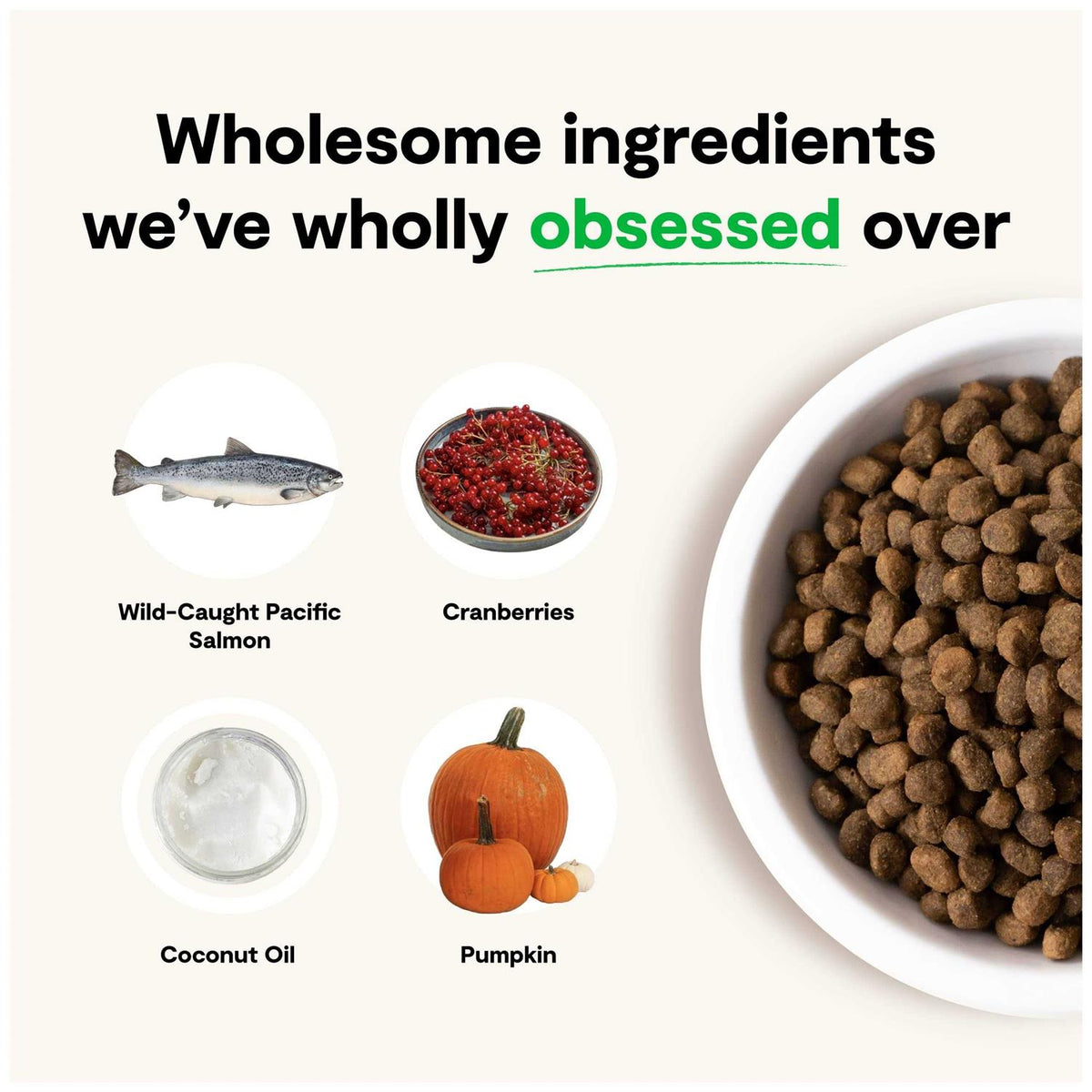 Grain-Free Wild-Caught Salmon Dry Dog Food W87146