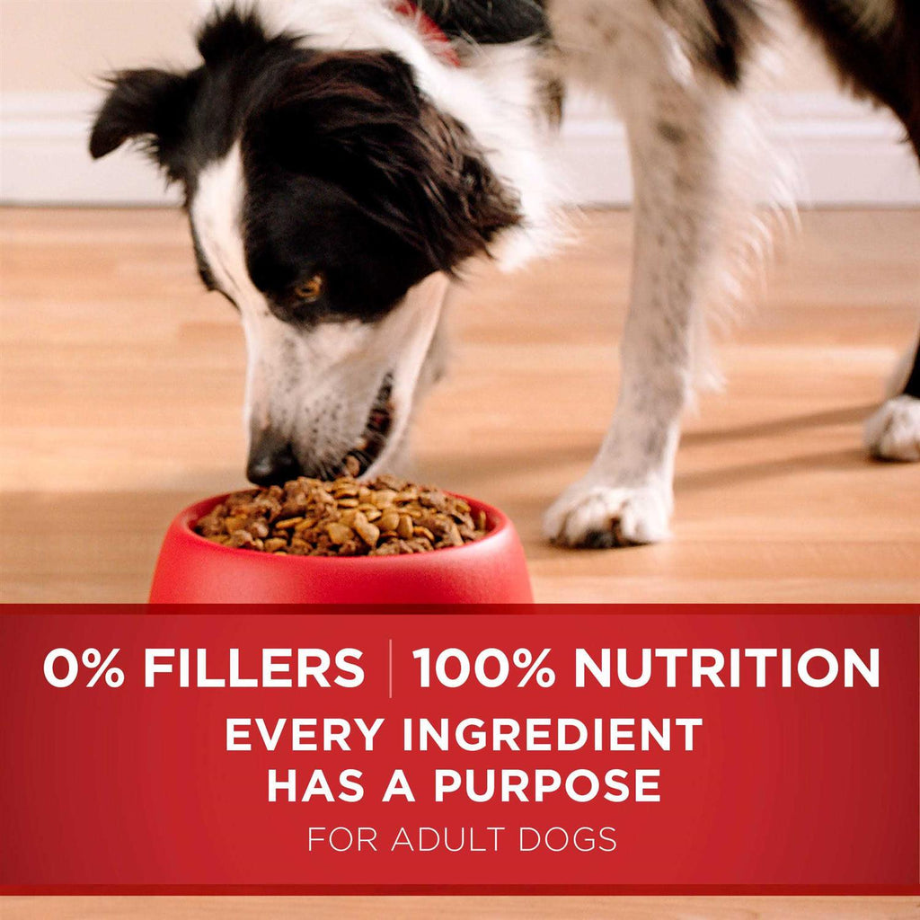 Lamb & Rice Dry Dog Food R92279