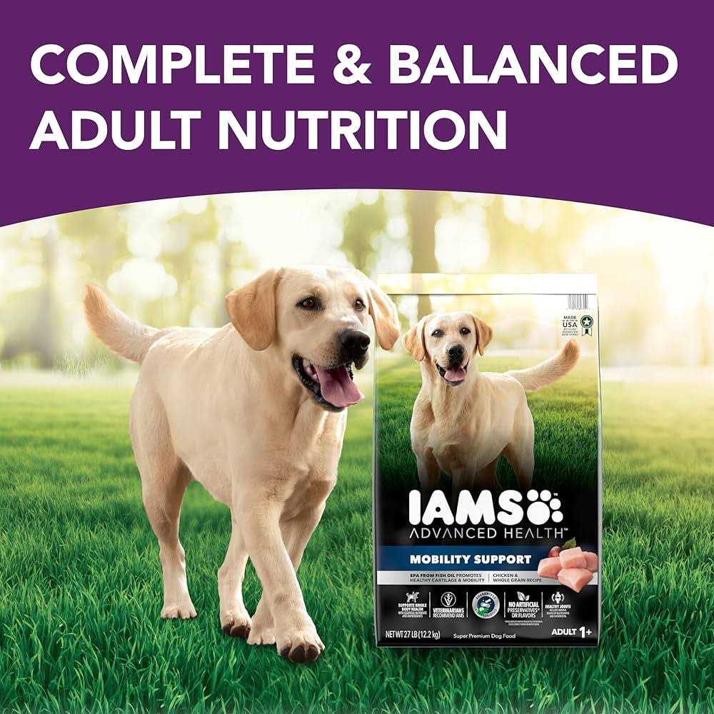 Chicken & Whole Grain Recipe Adult Dry Dog Food Z3993