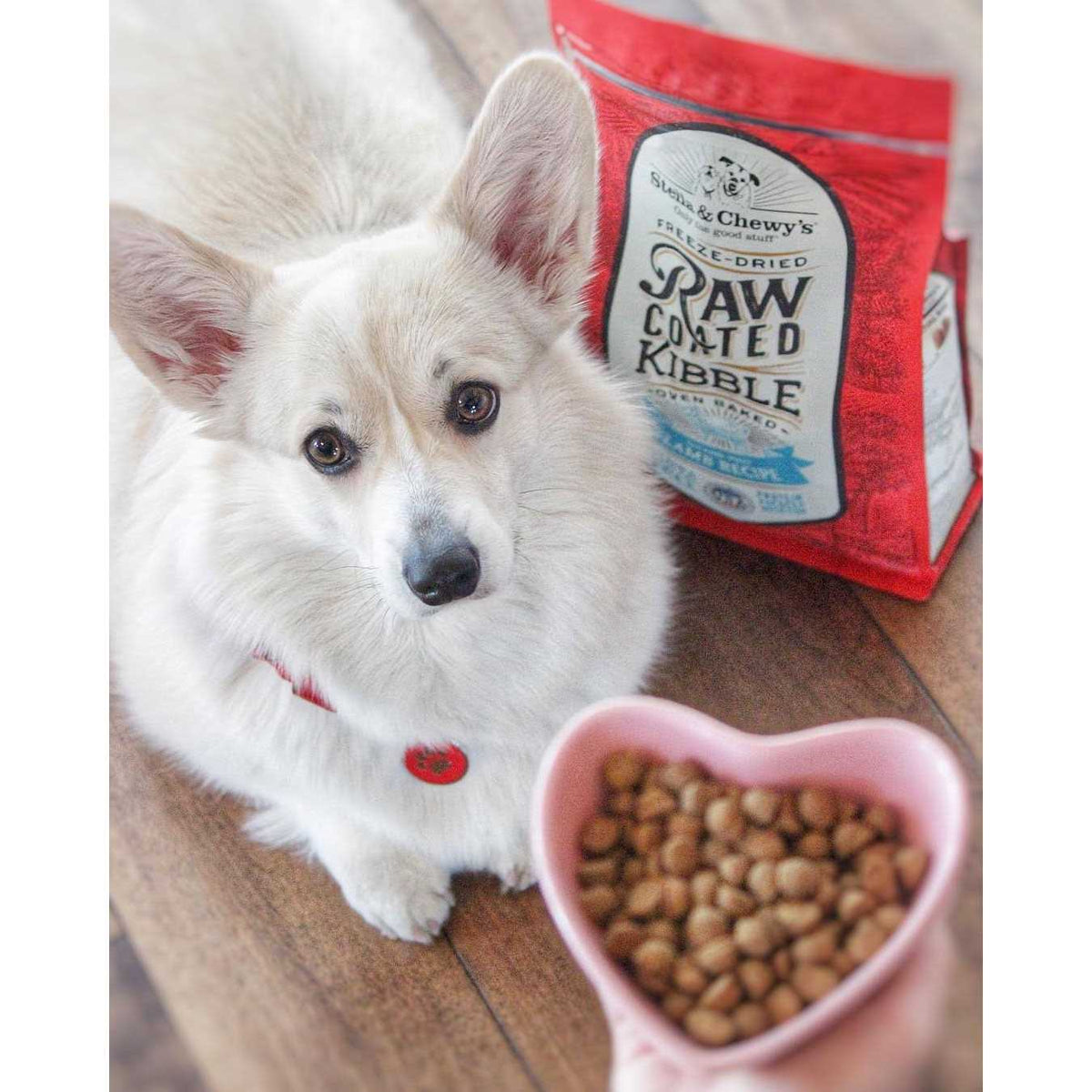 Puppy Raw Coated Kibble P31789