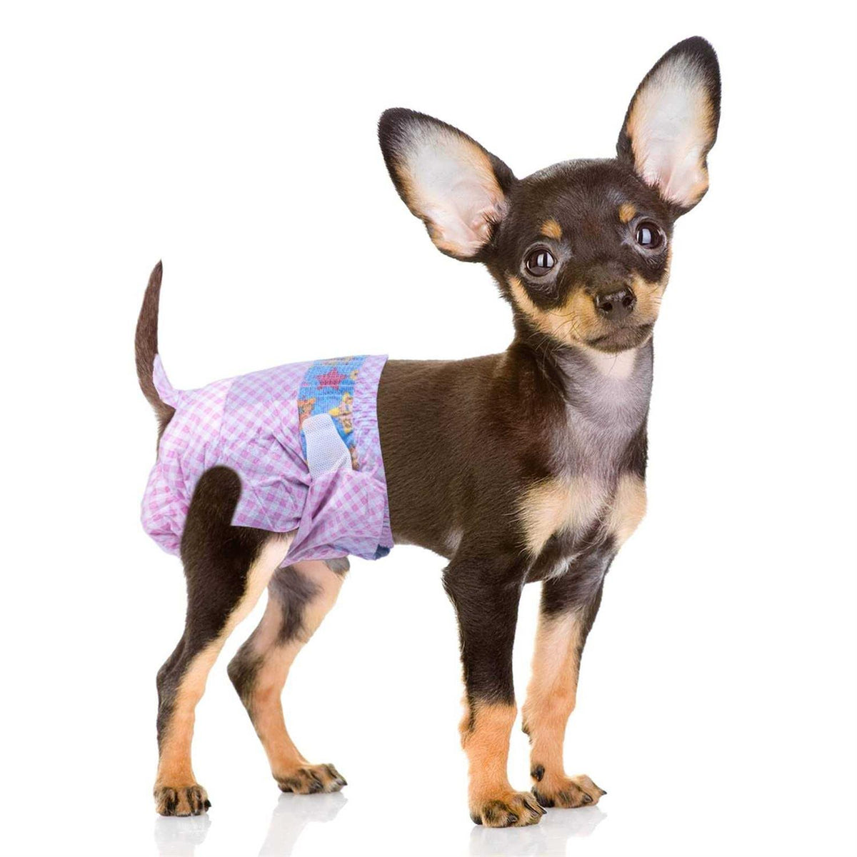 Disposable Female Dog Diapers with Adjustable Elastic Waistline Z940