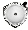 Blower Motor Assembly Z169102
