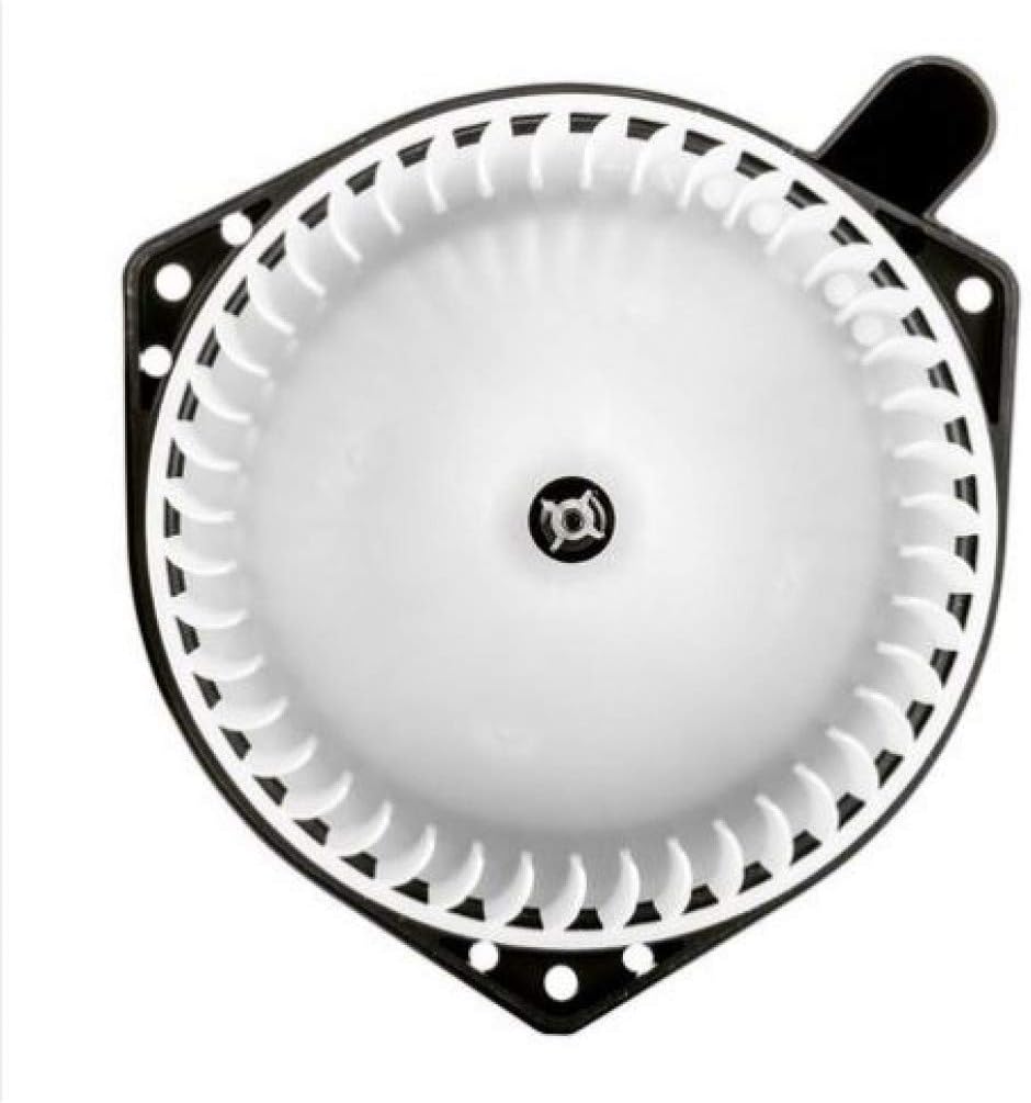 Blower Motor Assembly Z169102