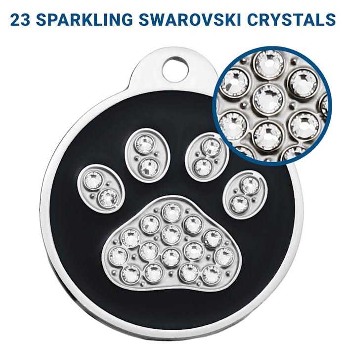 Stainless Steel Personalized Dog & Cat ID Tag Z7375