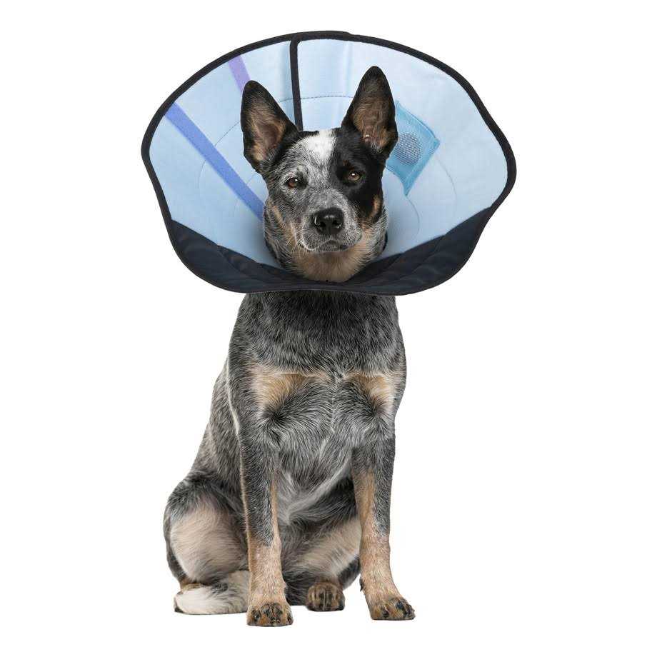 Dog Calming Collar C6617