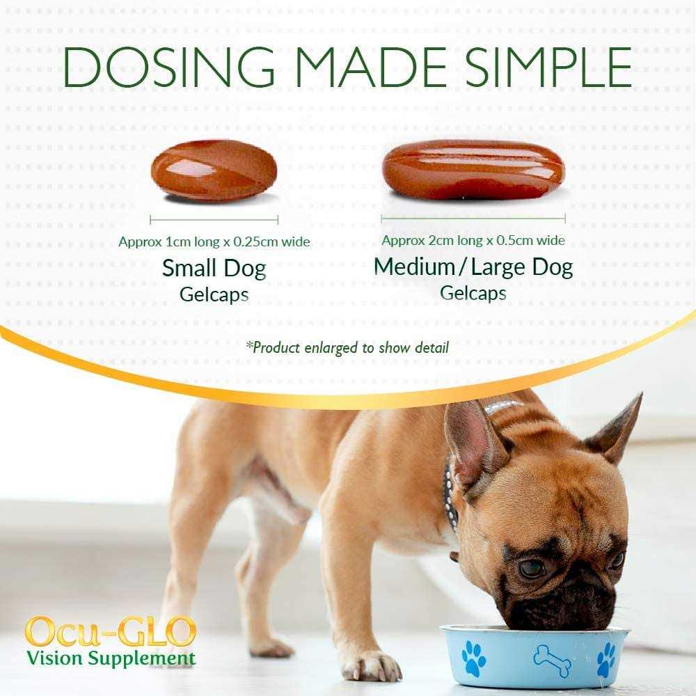 Medium to Large Dogs Y763424