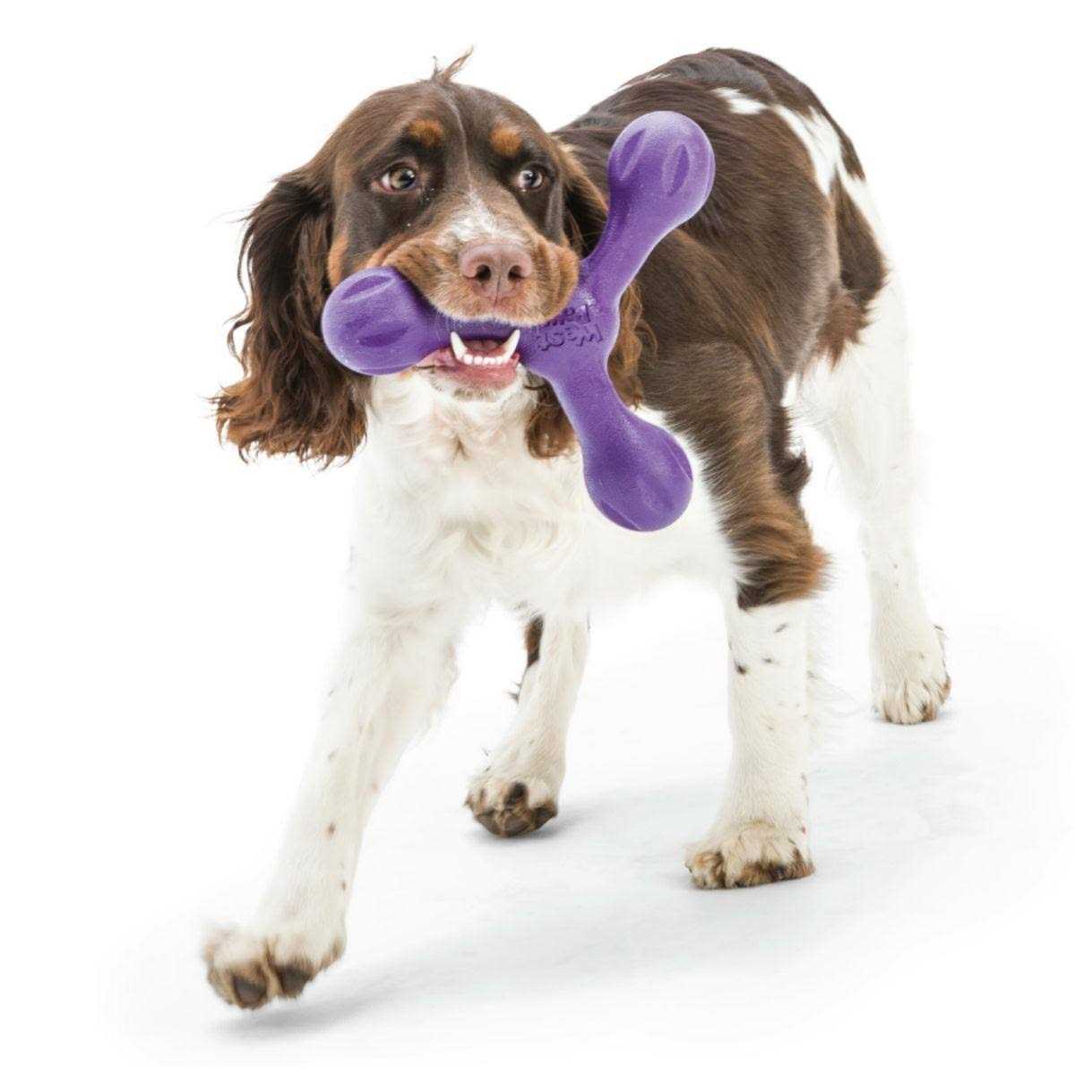 Dog Toy T254698
