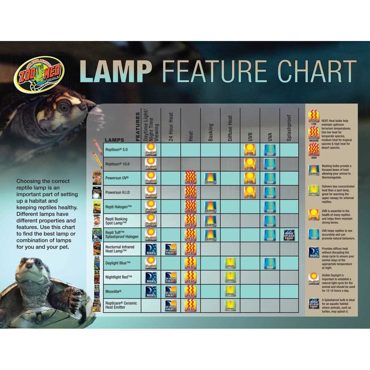 Basking Combo Pack S866