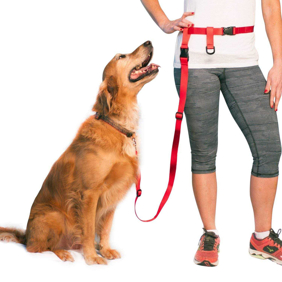 Adjustable Hands Free Dog Leash W478