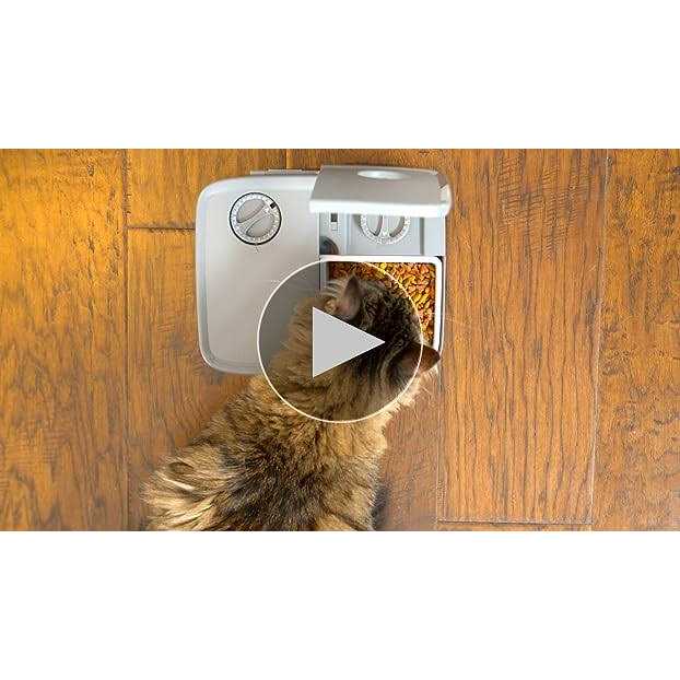 Automatic 2 Meal Pet Feeder O7142