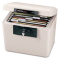 Black Security File Box I802