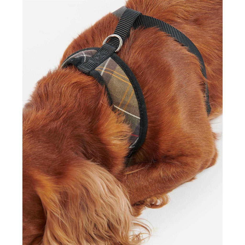 Tartan Dog Harness E5215