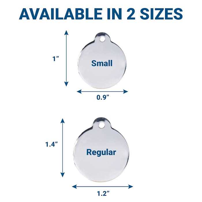 Stainless Steel Personalized Dog & Cat ID Tag Z7375
