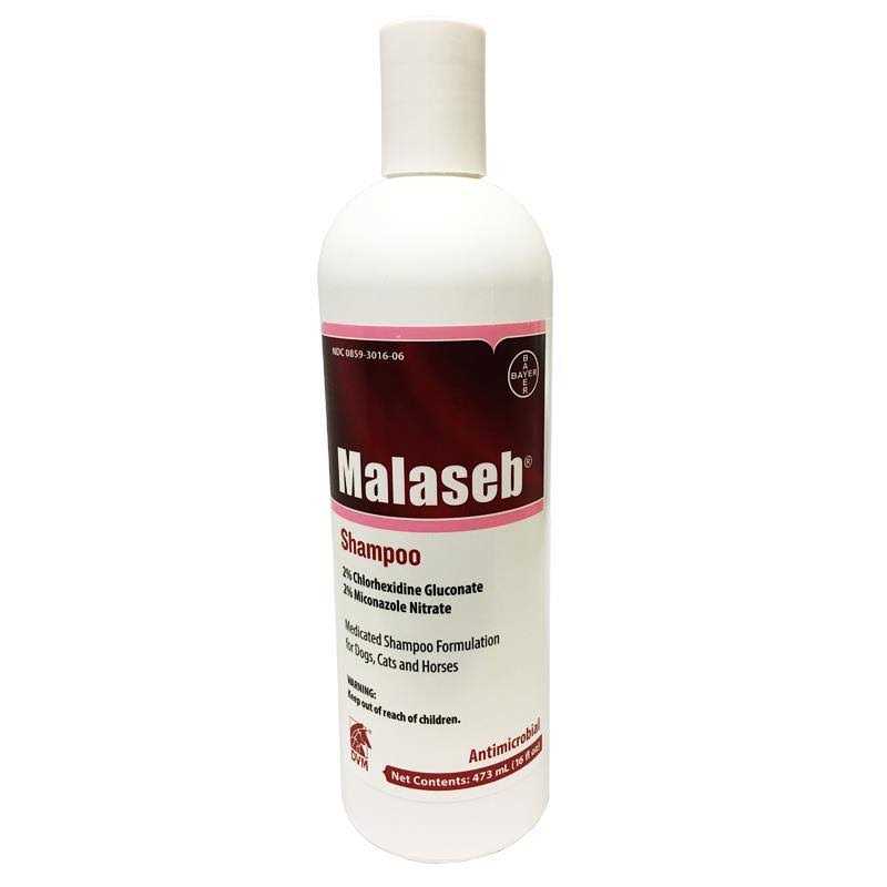 Shampoo 16 oz P28503