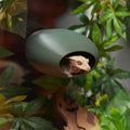 Gecko Hideout L103