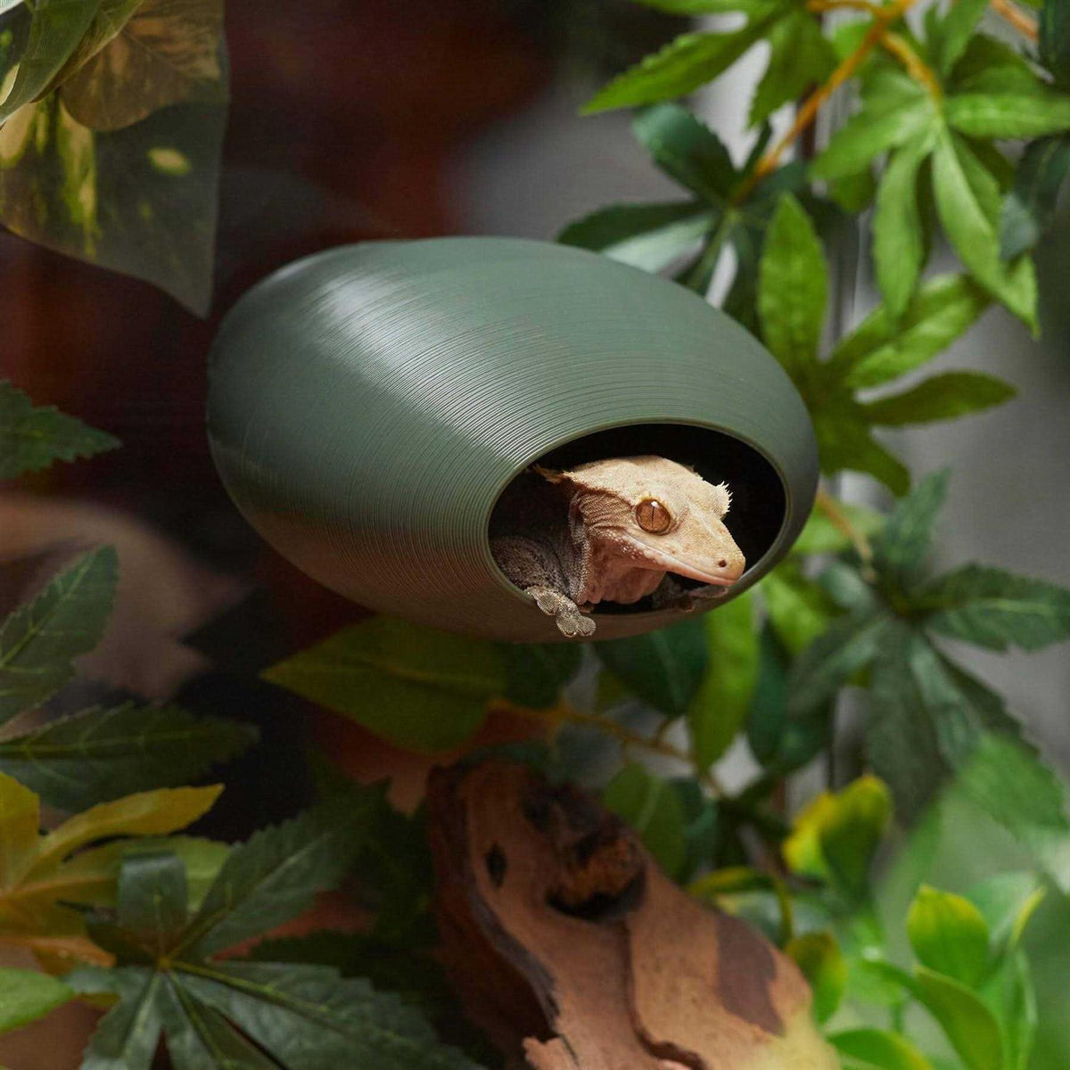 Gecko Hideout L103