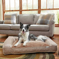 Orthopedic Bolster Dog Bed with Removable Cover T589231