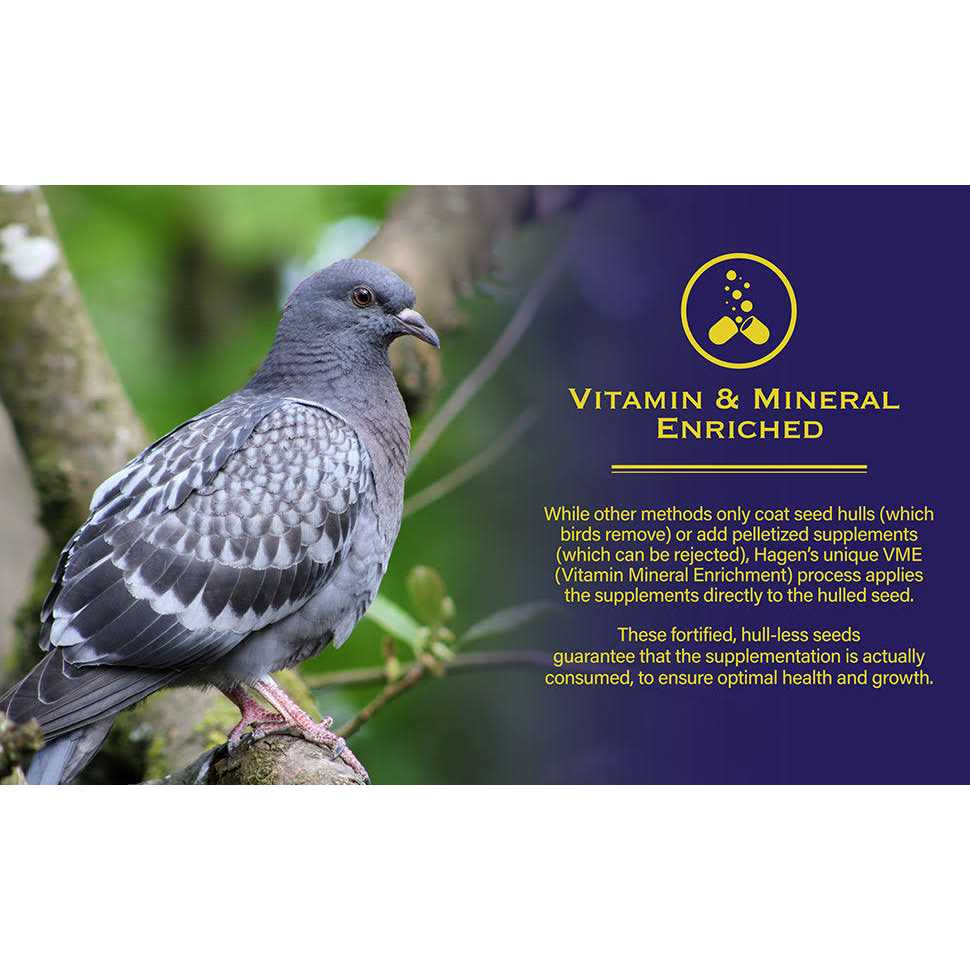 Pigeon & Dove Seed K2792