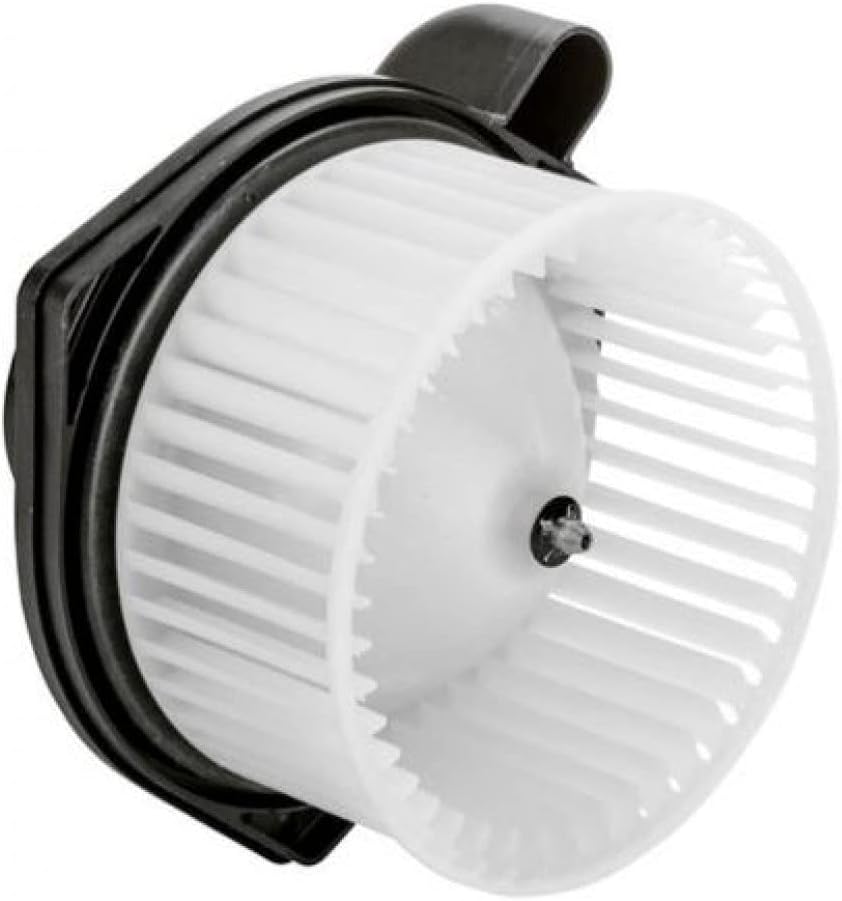 Blower Motor Assembly Z169102