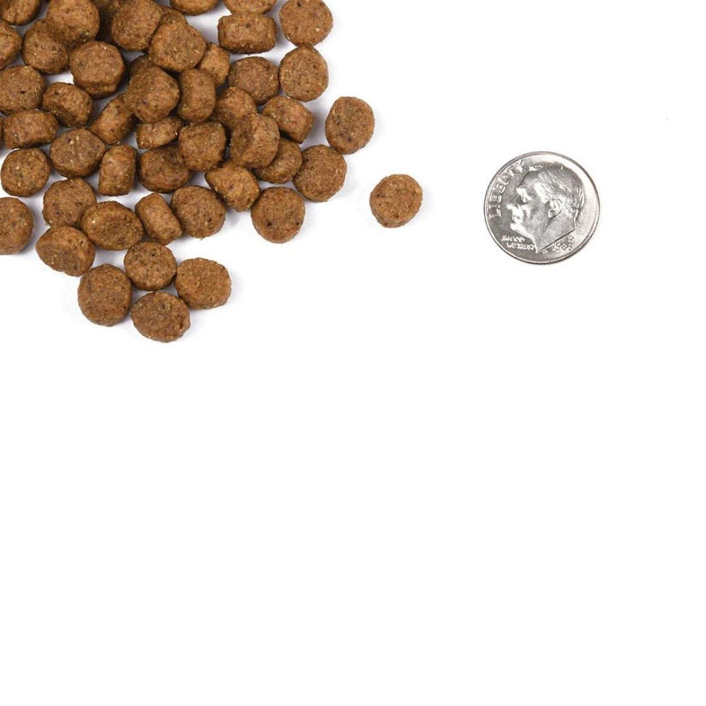 Puppy Dog Food F913