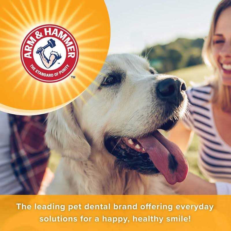 Dog Dental Mints N12955