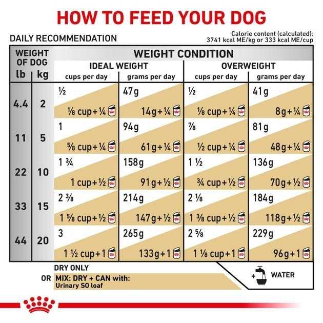 Dry Dog Food H633698