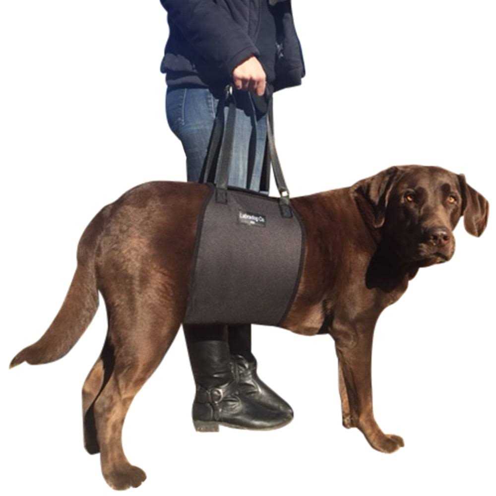Veterinarian Approved Dog Sling Lift Adjustable Support Harness C31121