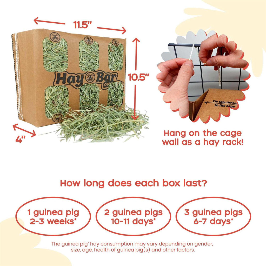 Timothy Hay for Guinea Pigs Rabbits D8662