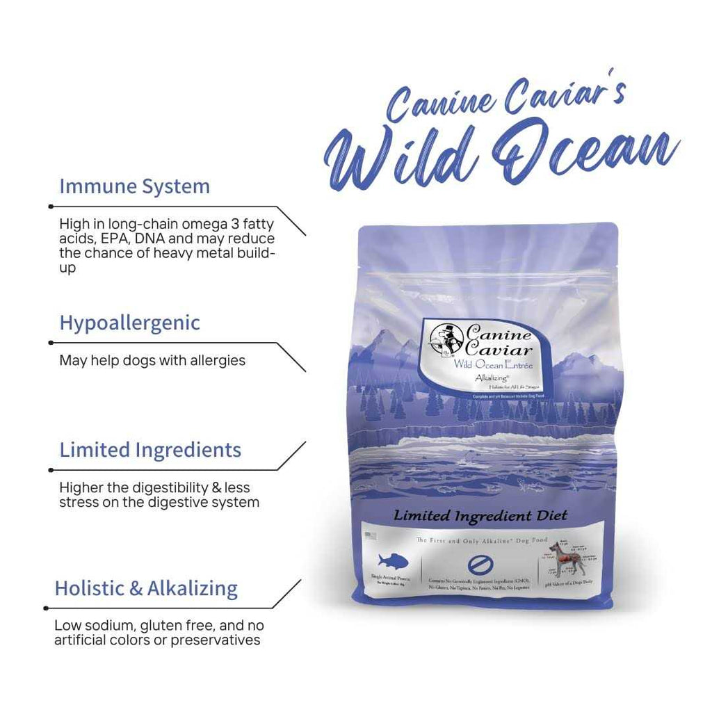Grain-Free Dry Dog Food U308299