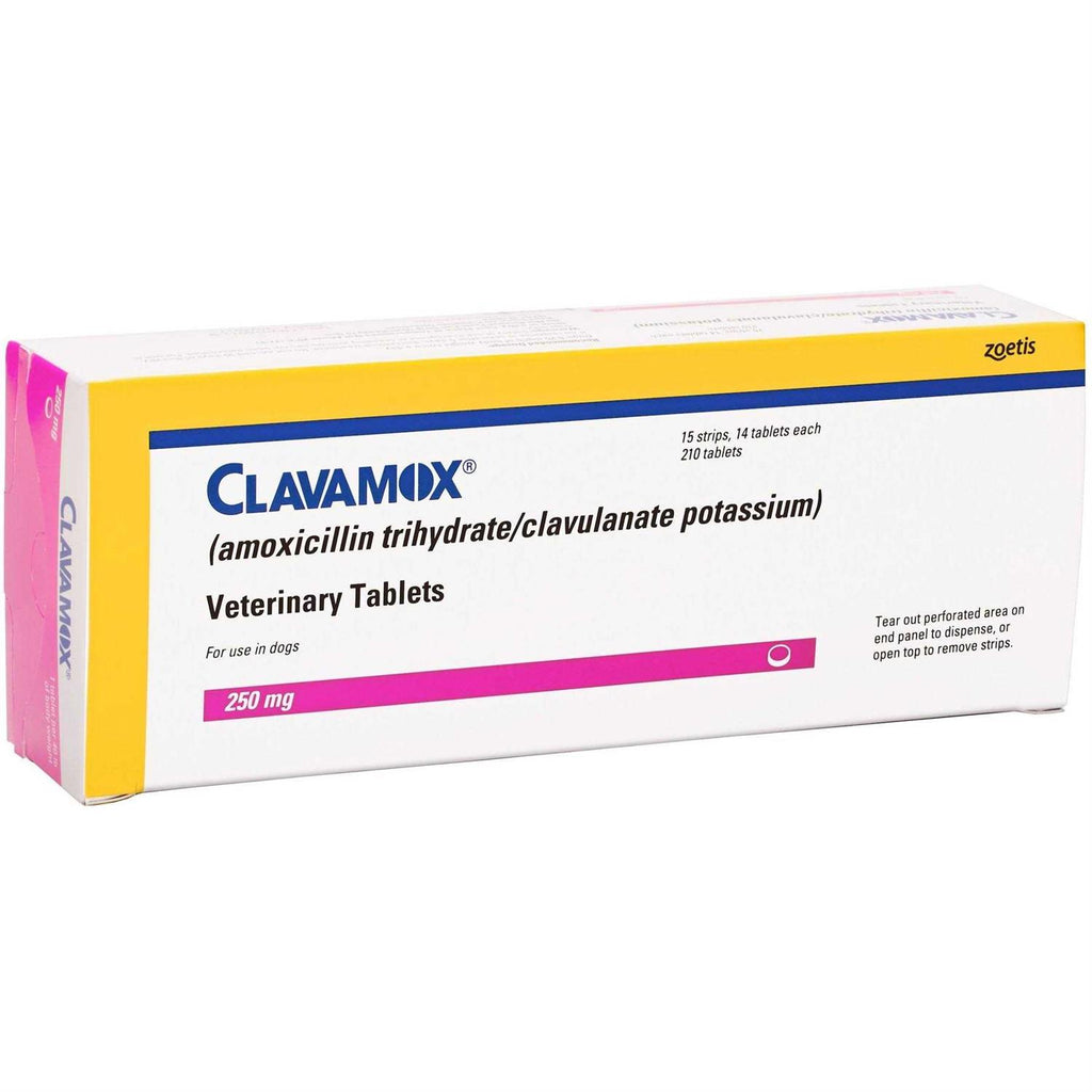 Chewable T6328