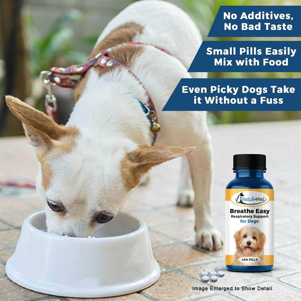 Breathe Easy for Dogs I463541