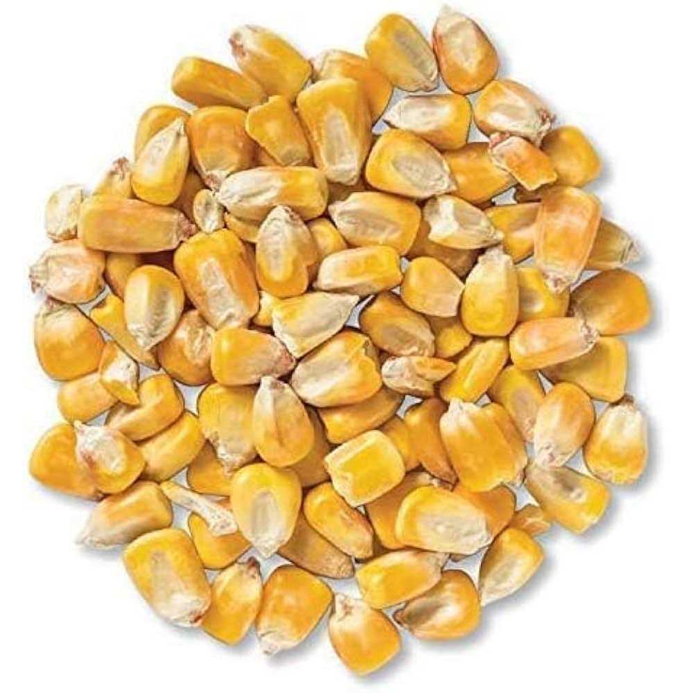 Whole Corn for Wildlife Feeding R43532