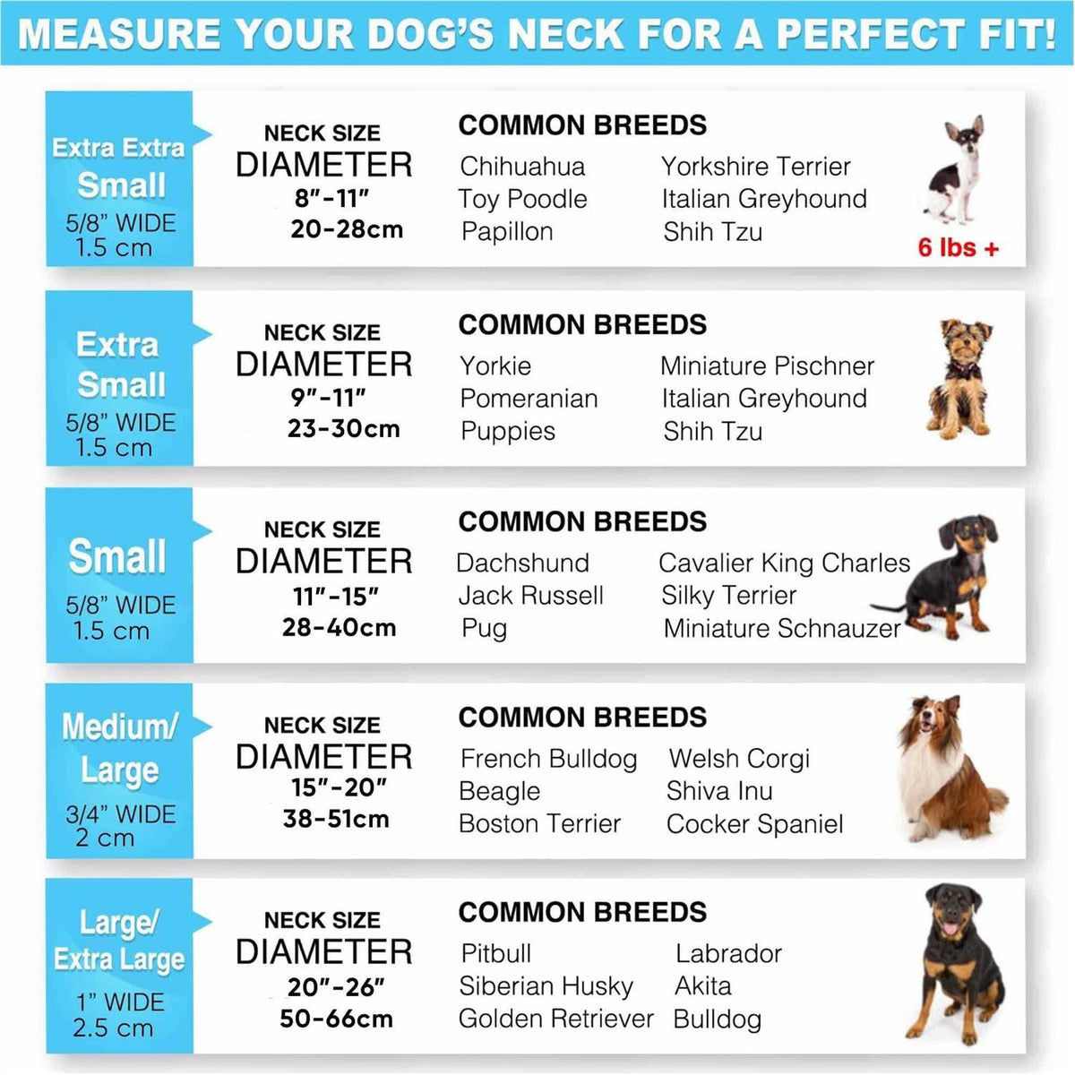 Reflective Dog Collar Small Y62583
