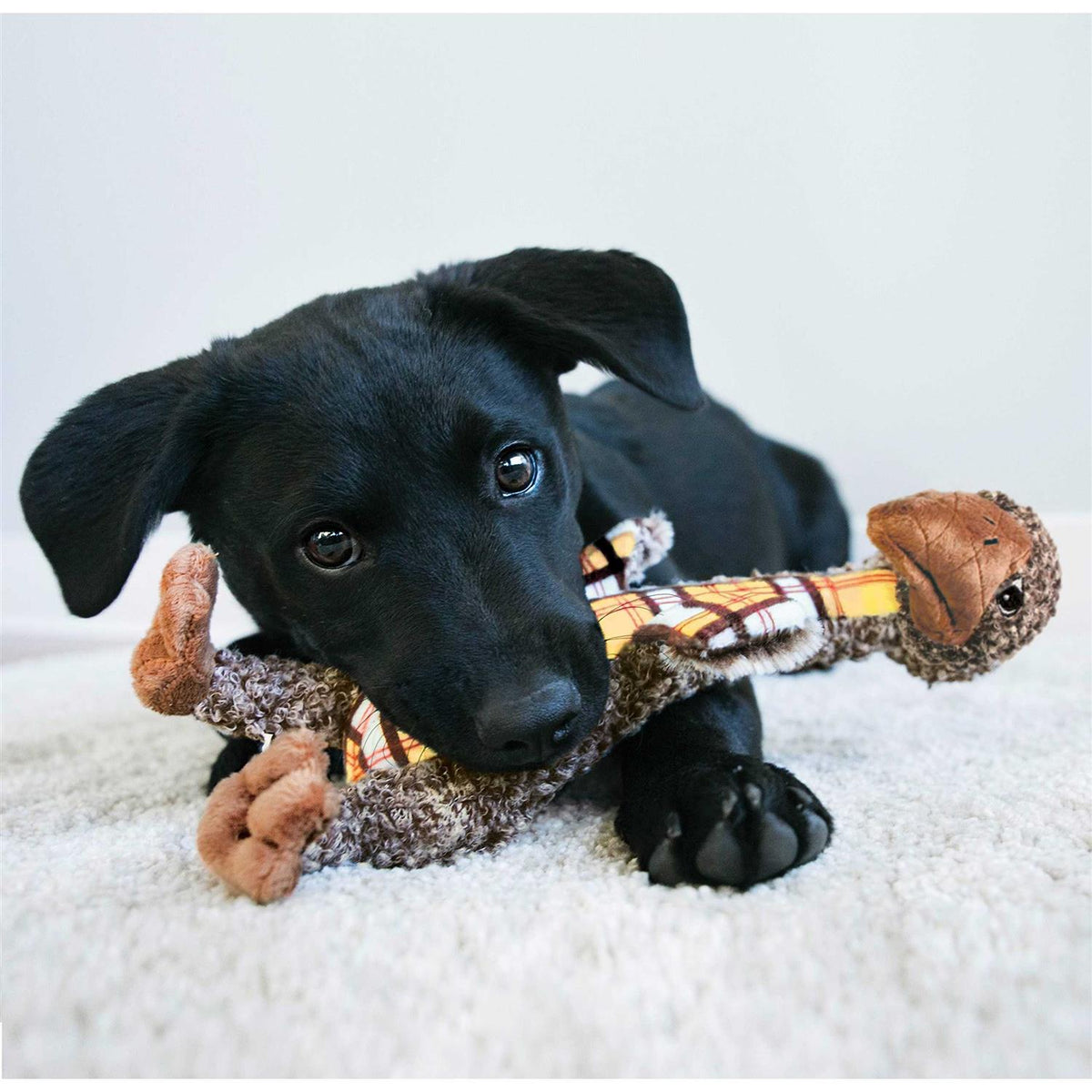 Elephant Dog Toy T70606