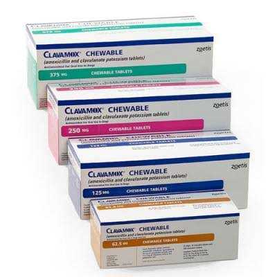 Chewable T6328