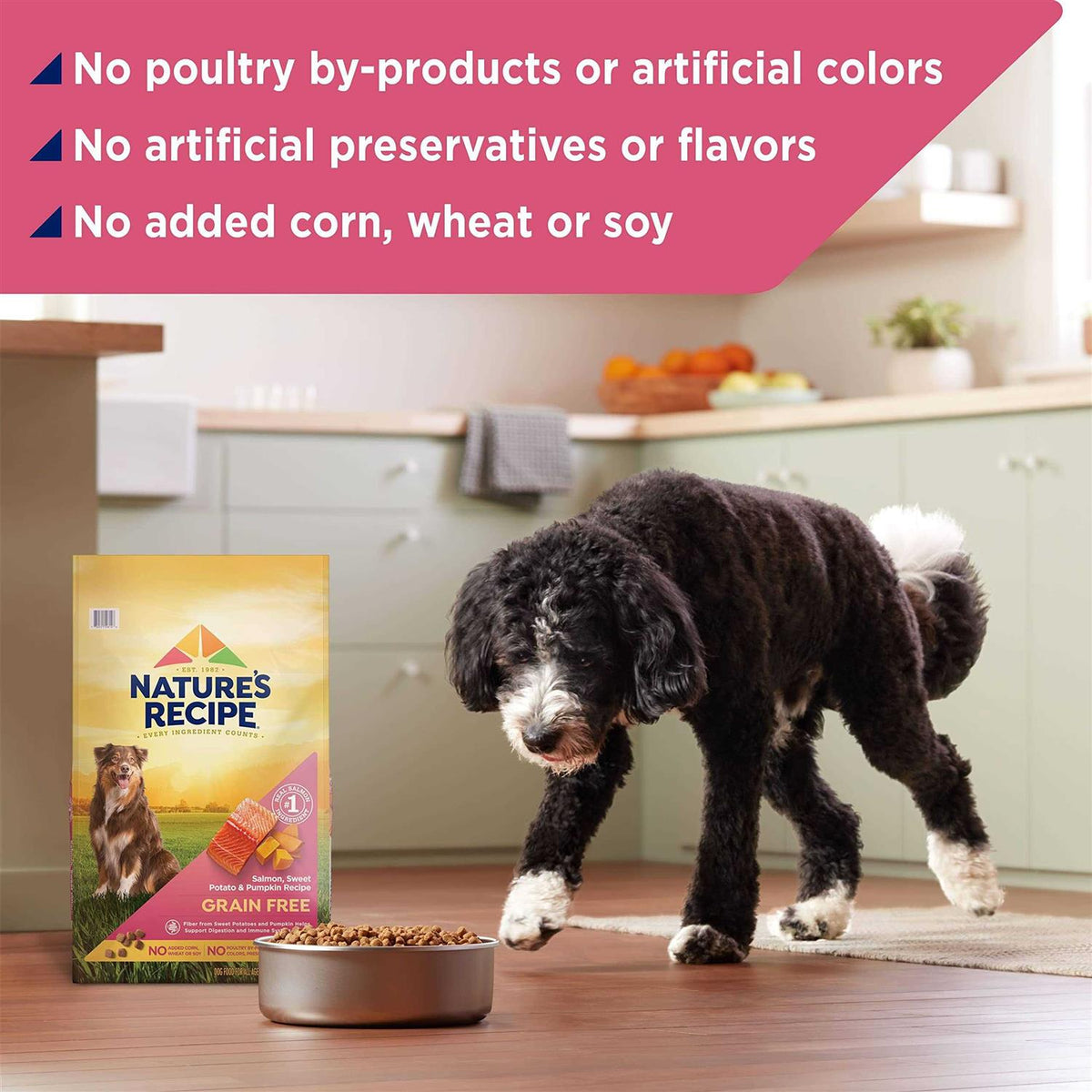 Grain Free Dry Dog Food W1587