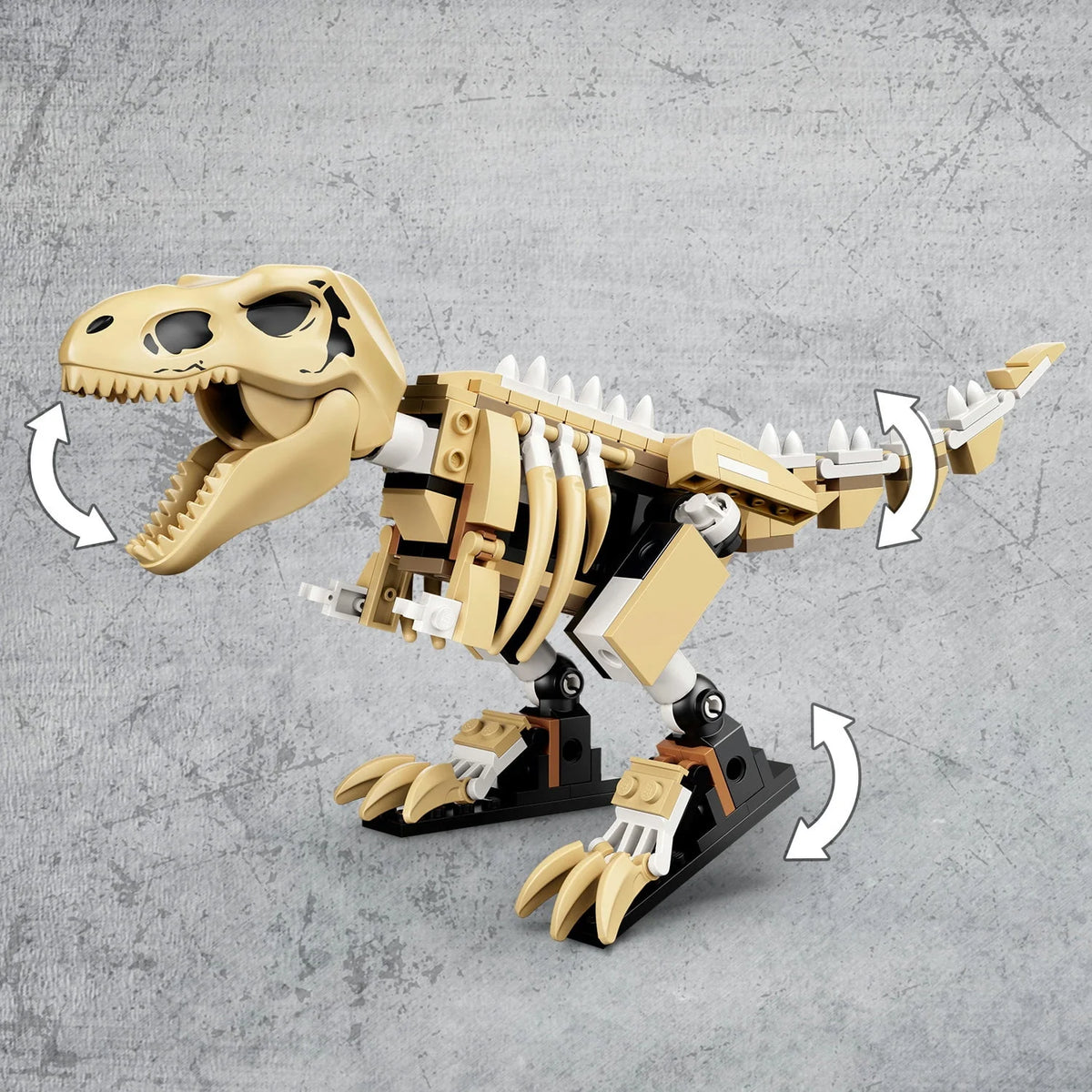Jurassic World T. rex Dinosaur Fossil Exhibition Q5236