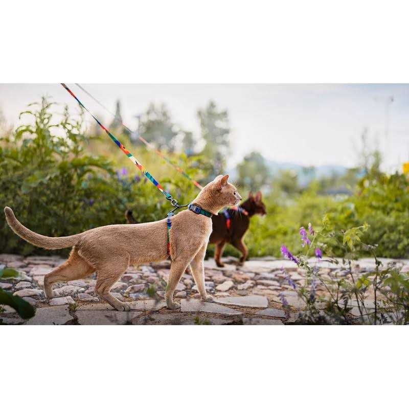Cat Harness and Leash Set Adjustable I741578