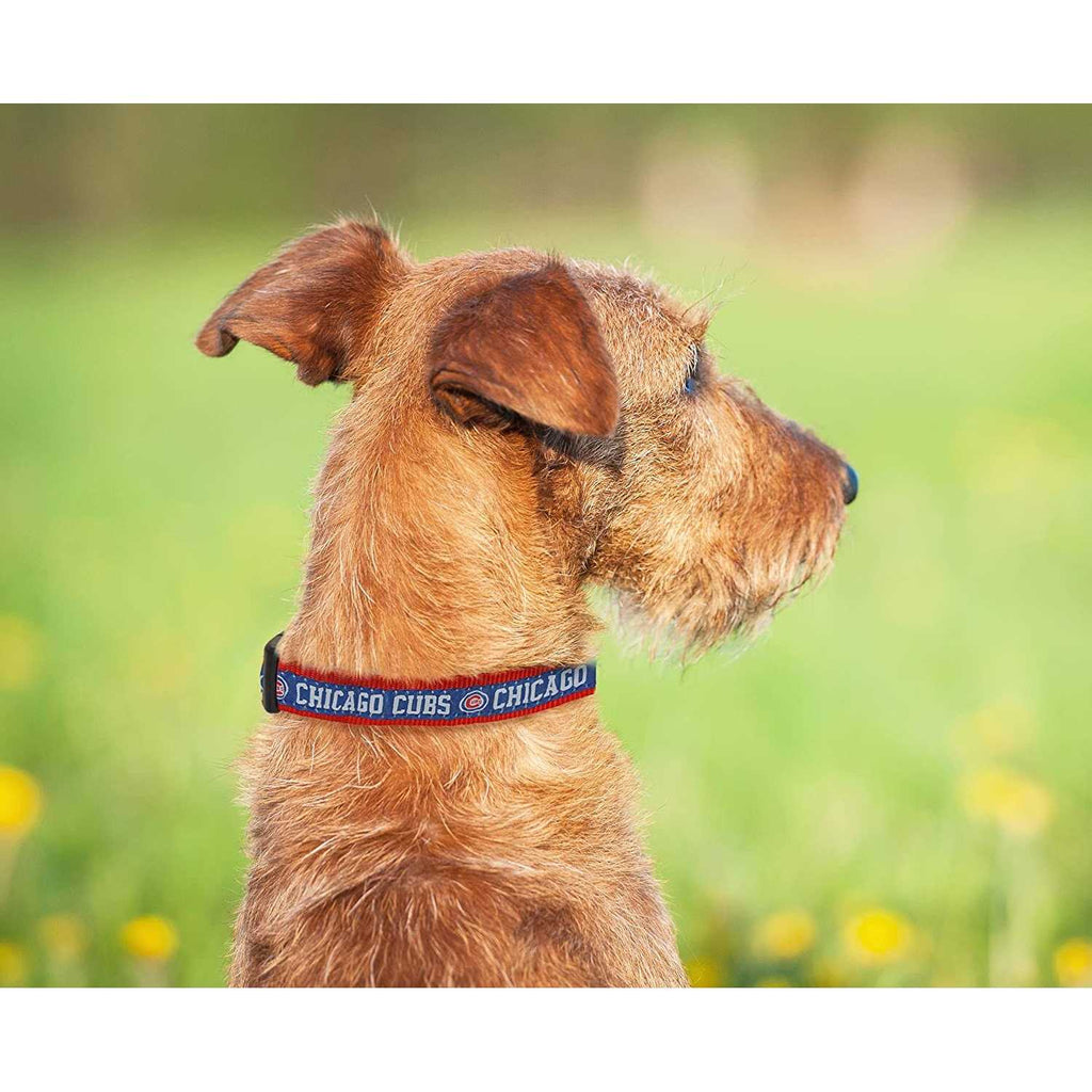 Dog Collar I37027